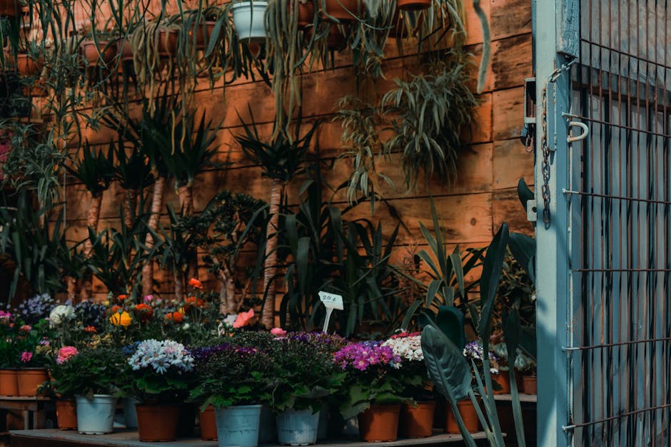 A variety of fresh flowers arranged in multiple small pots and containers, including brightly colored blooms such as pink, purple, white, yellow, and orange, with some showing round, full petals and o
