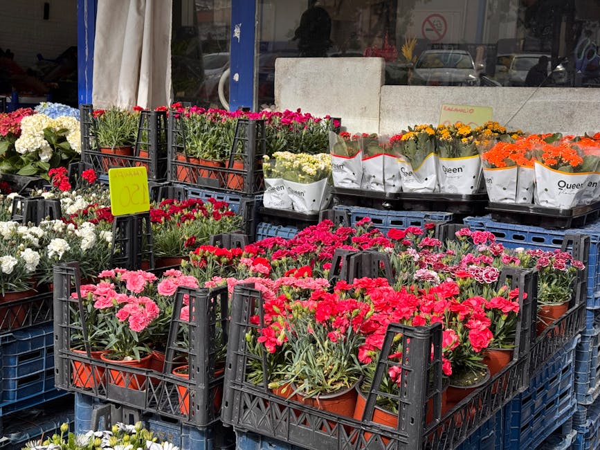 Outdoor display of various potted flowering plants arranged on black plastic crates at a flower market. The flowers include pink, red, white, yellow, and orange blooms, with some featuring multiple bl