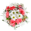 This bouquet, a true reflection of Hackney Marshes' natural radiance, unites joyful white daisies with their striking green centers, lush coral-pink carnations, and sprigs of delicate baby's breath. The arrangement glows with freshness, echoing the wild beauty of spring meadows bordering the marsh paths. Peek closely and notice the slender alstroemeria buds, dusted with purples and deep pinks, hinting at blooms yet to unfurl-small reminders of the ever-changing landscape found near Mabley Green. Eucalyptus leaves, both pale and deep green, glide among the blooms, infusing airiness and subtle woodland scent, while the bouquet's circular form evokes the sense of a harmonious community gathering. Each flower has been arranged with the expert touch of local florists, ensuring the bouquet feels uplifting and tranquil-ready to celebrate a birthday, offer gentle support, or simply light up a day. It's perfect for bringing Hackney's vibrant, restorative charm indoors, with same-day delivery throughout the neighbourhood and beyond.